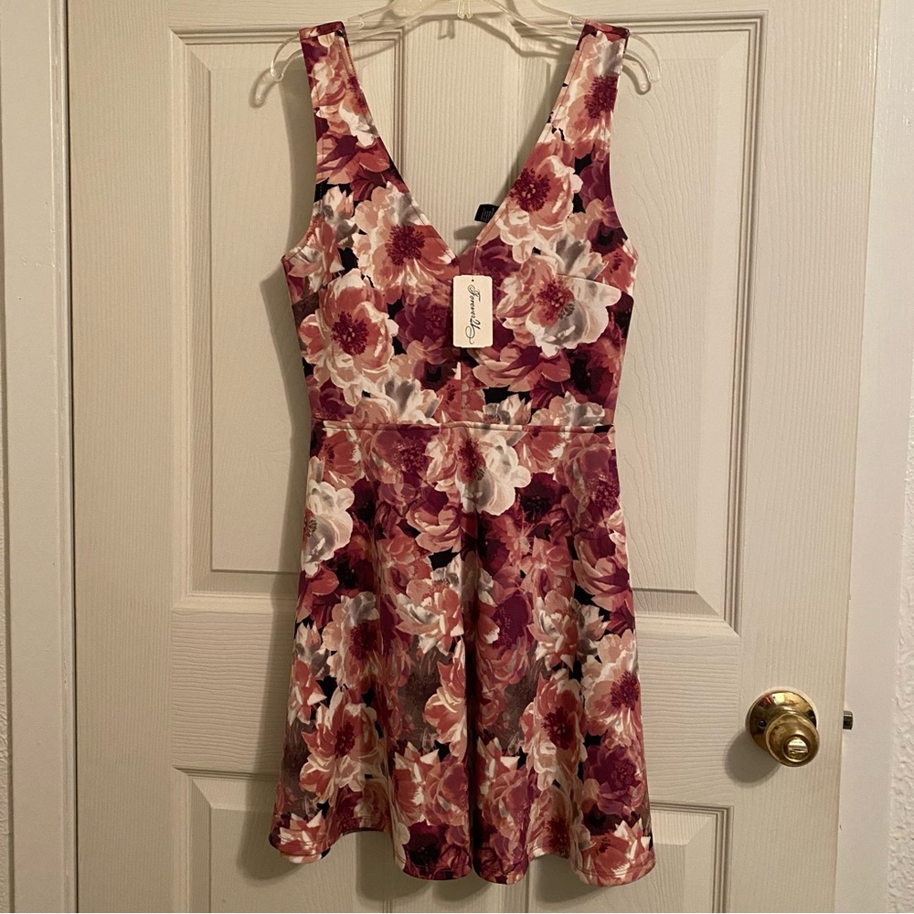 Forever 21 Pink and Red V-Neck Fit and Flare Mini Dress